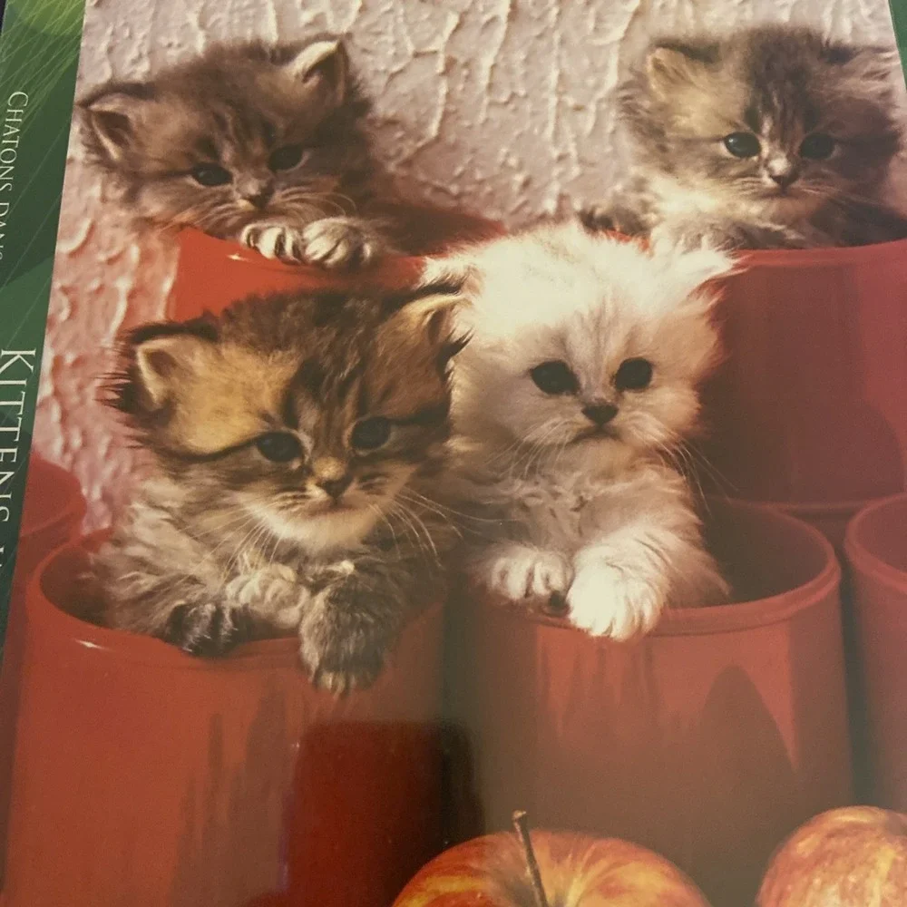 Kittens In Pots 1000 Piece‎ Jigsaw Puzzle by Eurographics NIP NIB